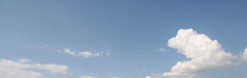 cropped-IMG_9862-scaled-1.jpg