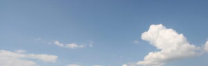 cropped-IMG_9862-scaled-1.jpg