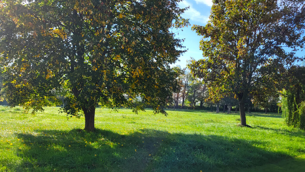 park